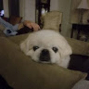 Meet your Posher, Jane